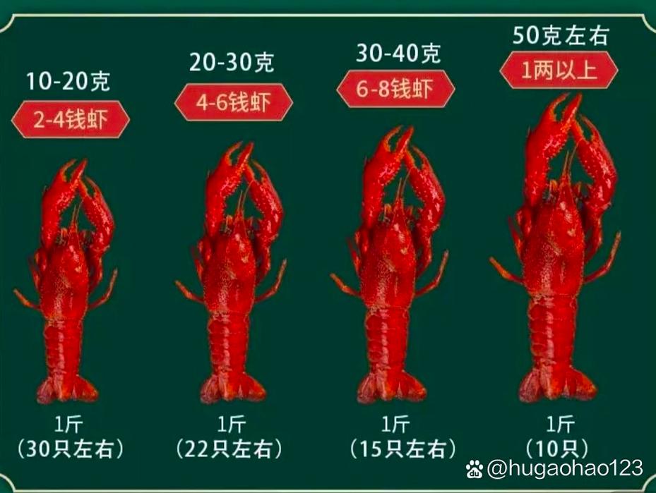 婚宴试菜龙虾份量对比照