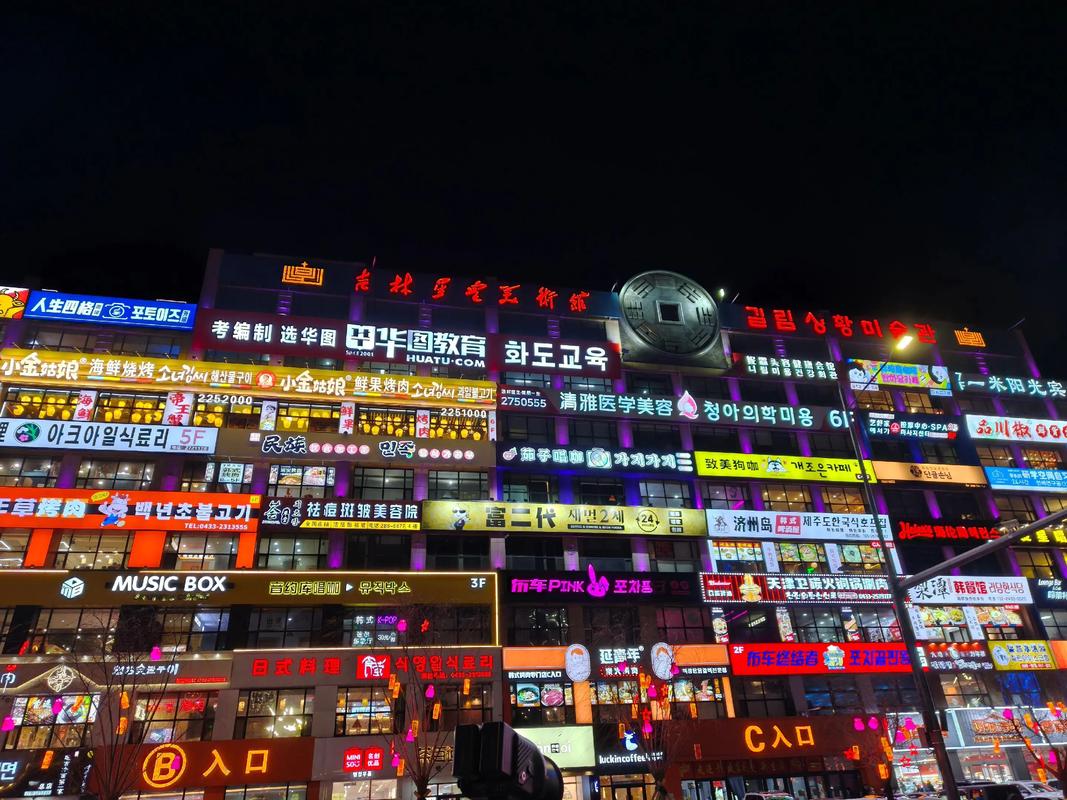 延边大学网红墙