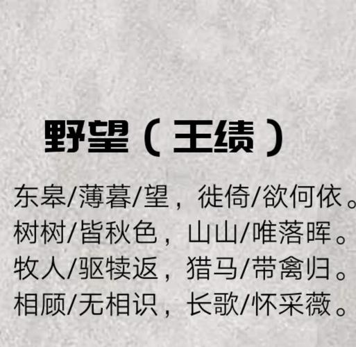 自编教材与校本教材:野望与尴尬