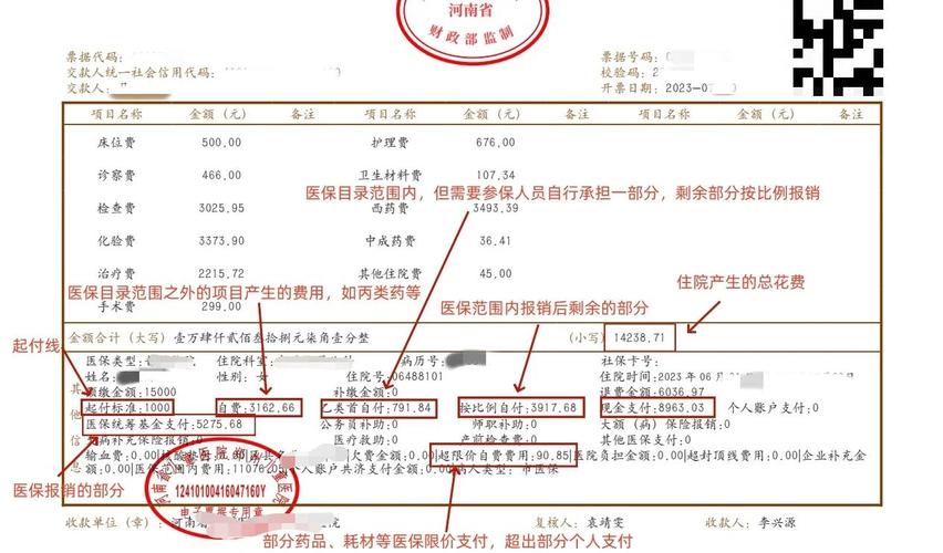 医疗发票报销项目分类示意图