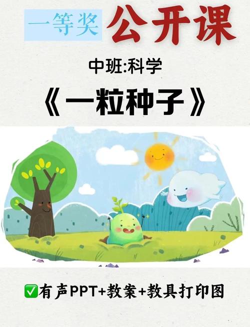 四、准备“一颗种子”