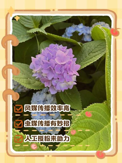 那些传得神乎其神的防花粉妙招,半毛钱用没有
