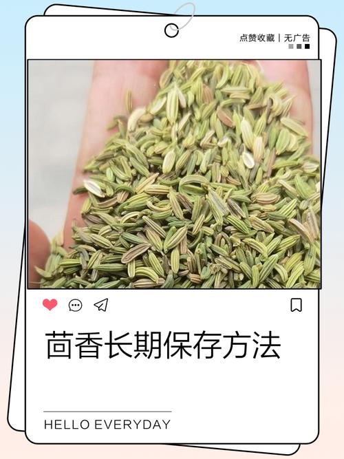 家庭香料正确密封保存方法图示