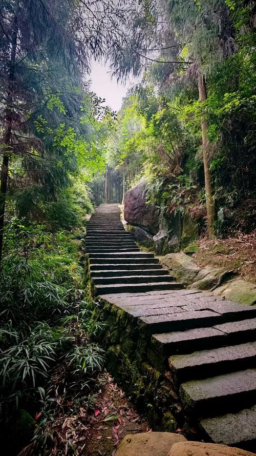 池州舜耕山半山腰松树下挂着鸟笼的石阶步道