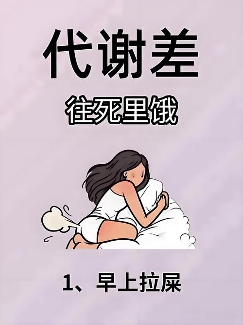 真相三:它可能只是饿了,或者想上厕所