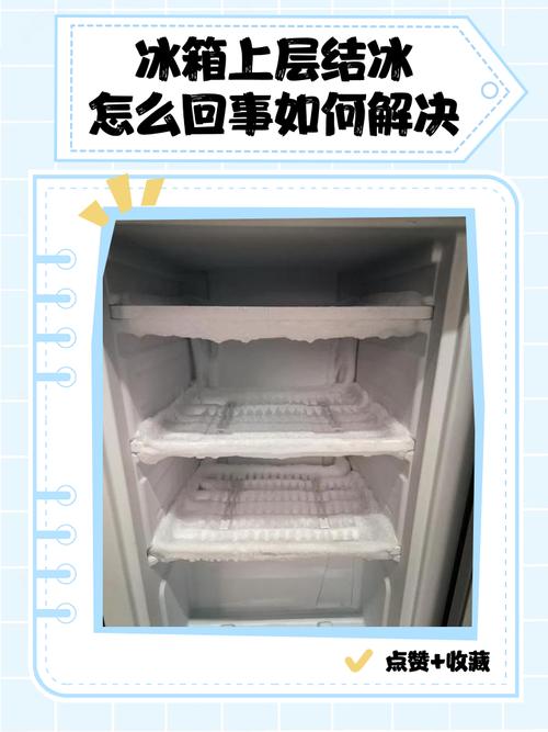 冰箱冷藏室底层铺冰保鲜海产示意图