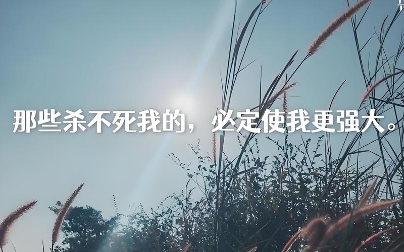 杀不死它的,只会让它更民谣