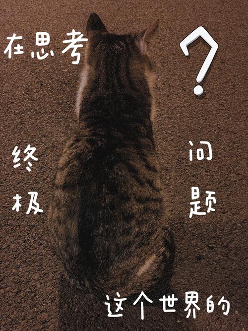 回头想想,这不只是答题