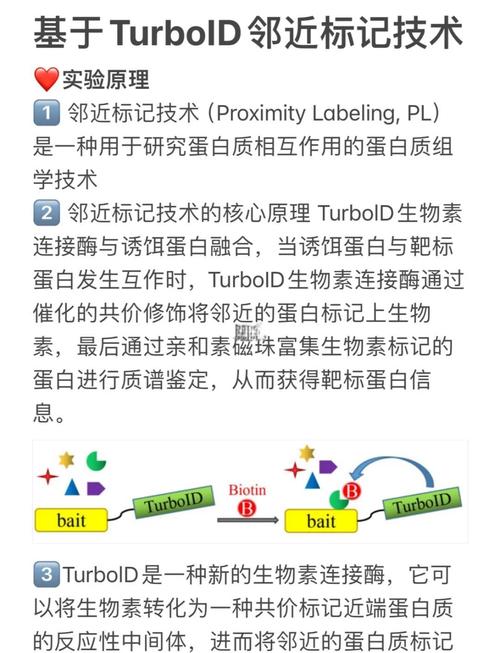 聊聊素食搭配技巧:避开那些让人抓狂的坑-仁者医
