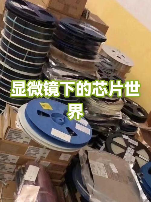 当显微镜遇上芯片和血迹:这玩意比你想的更接地气