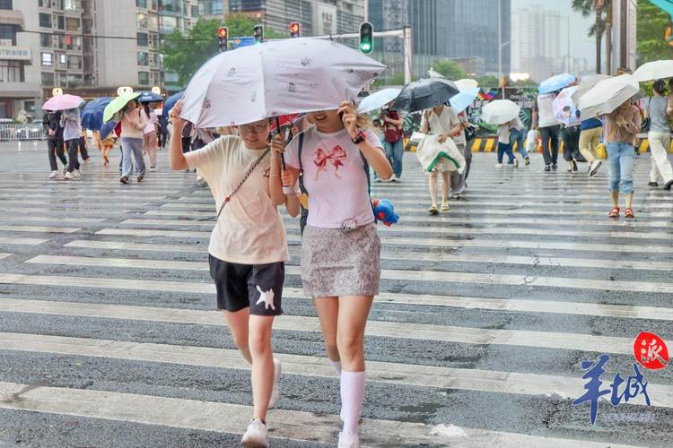 细雨:那些被忽略的温润时刻-因为所以
