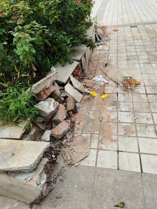 小区单元门口被狗追摔倒的地面痕迹实拍