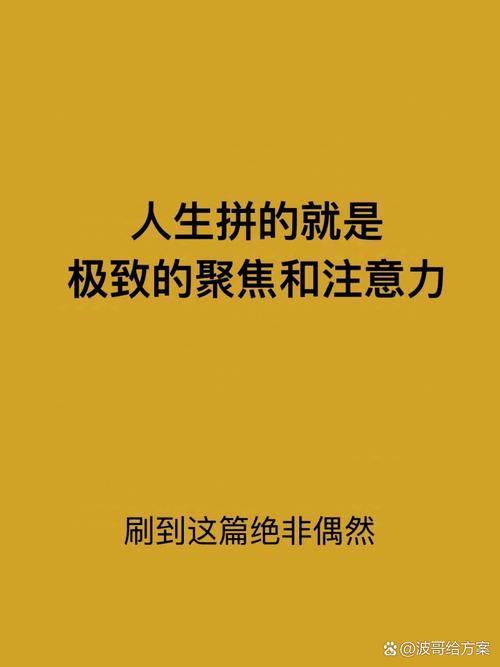 拼的从来不是风多大,是转化的能力
