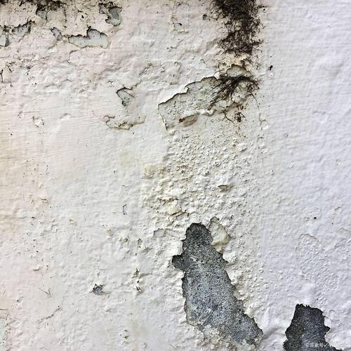 普通油漆刷户外院墙一年后褪色掉皮实拍