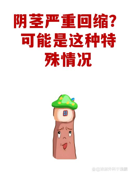 特殊情形与其他