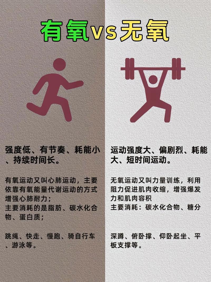 增肌期有氧与无有氧体型对比