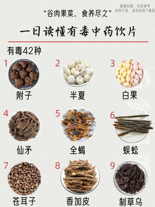 🌿 环保篇：到底毒不毒？
