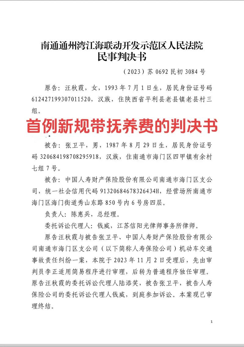 老年人赡养义务法律判决书特写
