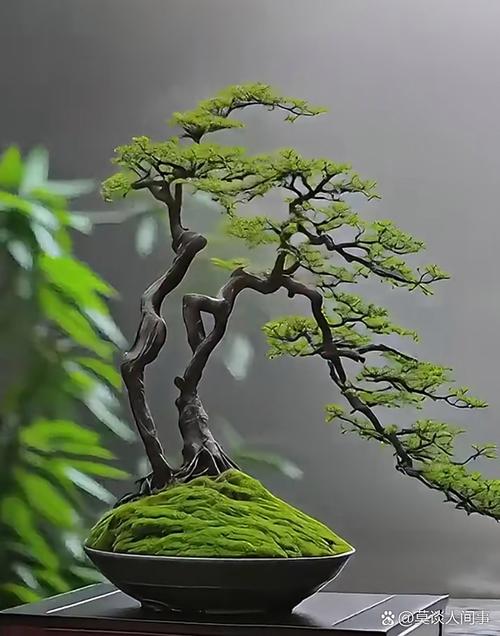 ❗ 警惕那些“盆景式”结对