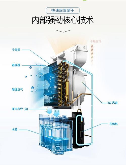 工业除湿机压缩机与换热器拆解图
