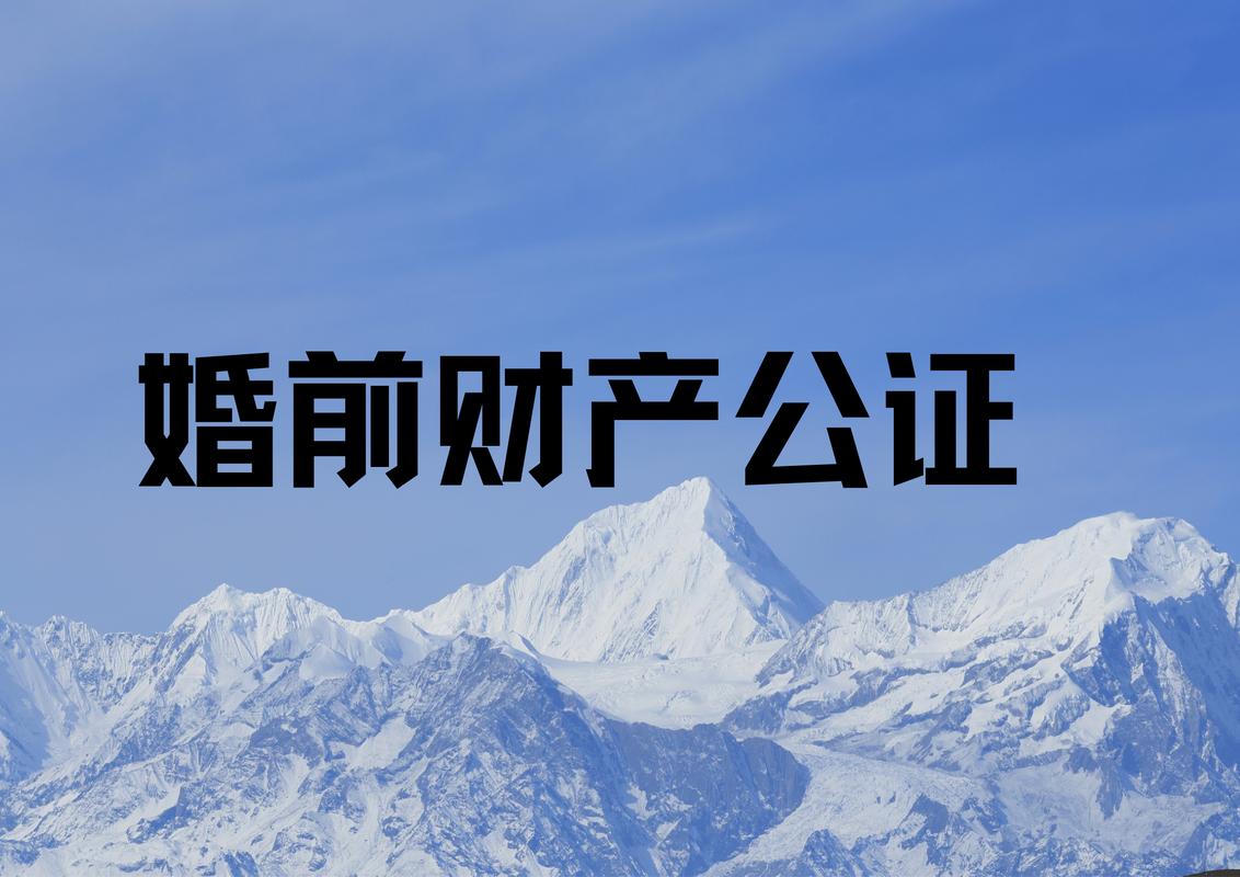 标准婚前财产公证书样本
