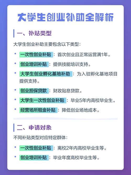 大学生创业补贴项目类型通过率示意图