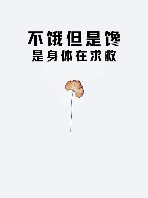 真饿了馋了,总不能硬扛着吧?
