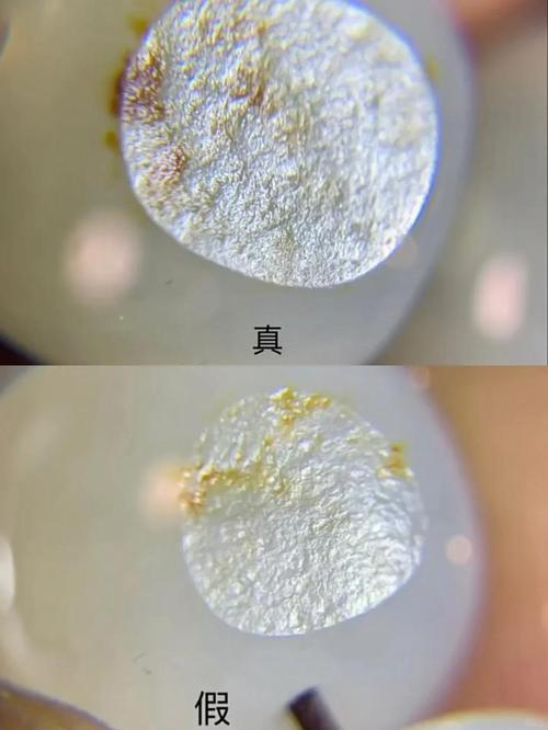 显微镜下 劣质磨片 杂质颗粒 刚玉磨料对比