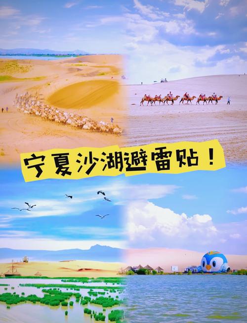 宁夏沙湖沙漠骆驼骑行景观