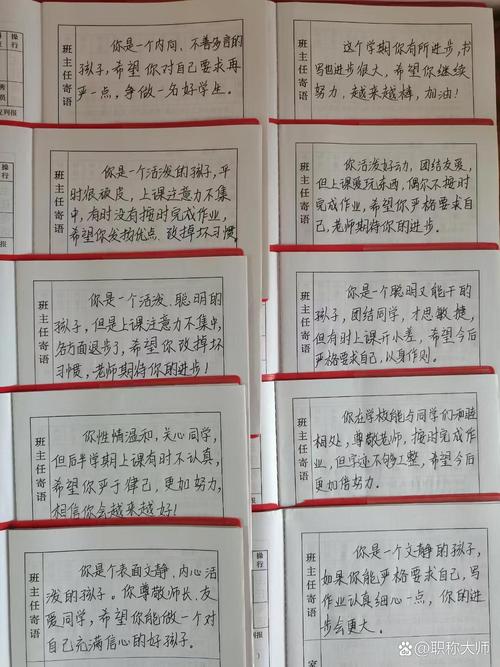 高中综合素质评价档案里的手写学生评语页