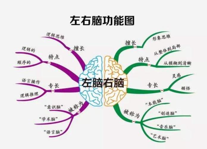 中学生刷题时大脑思考示意图