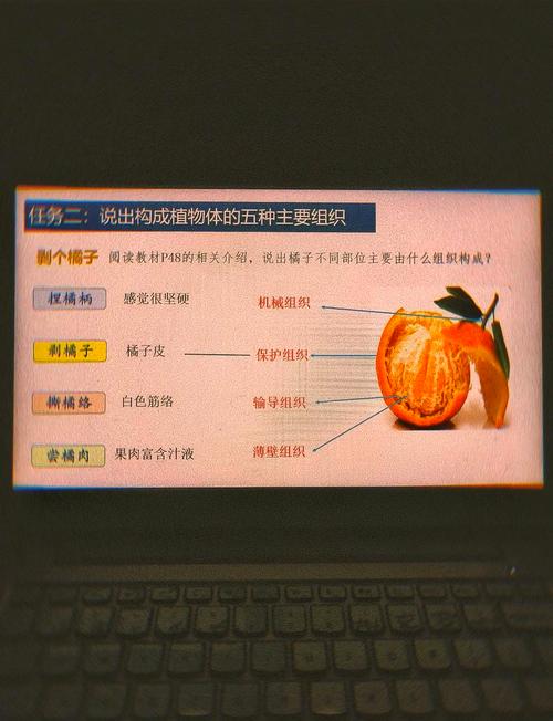 竹筐铺报纸储存柑橘示意图