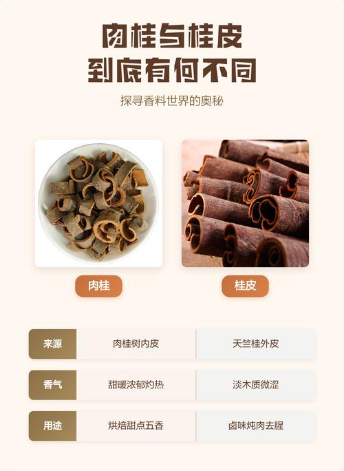 锡兰肉桂薄卷与桂皮厚卷的对比