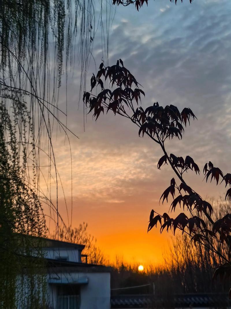 专业摄影师晨光拍摄技巧实景