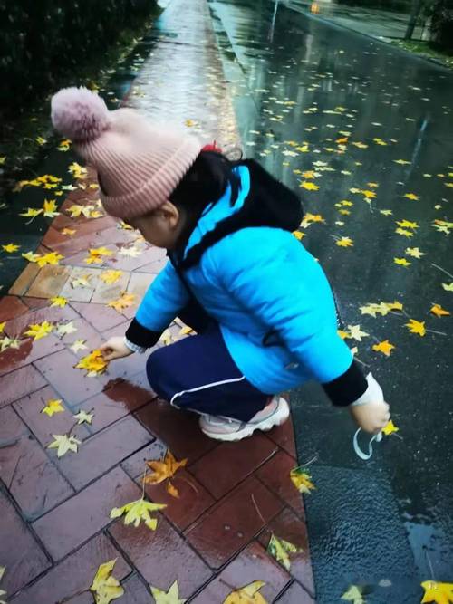 儿童雨天踩水坑观察落叶