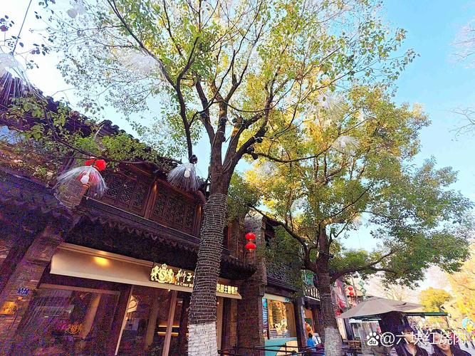 南京老门东箍桶巷清代民居木窗实拍