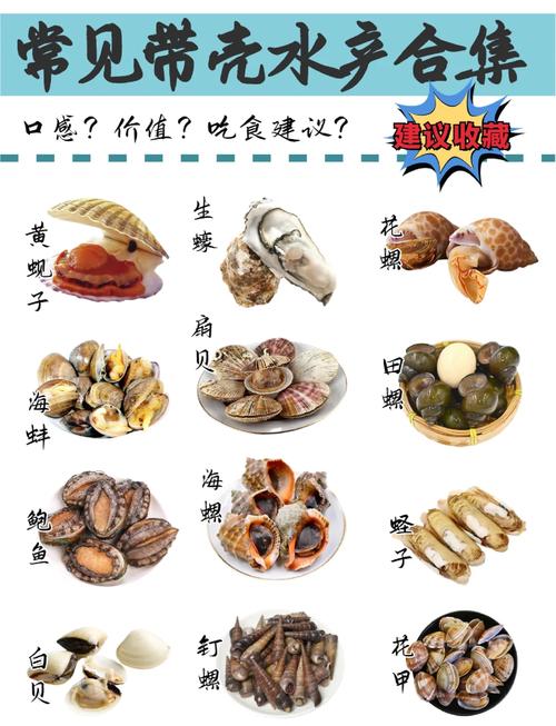 带壳海产挑选，几个冷门小技巧
