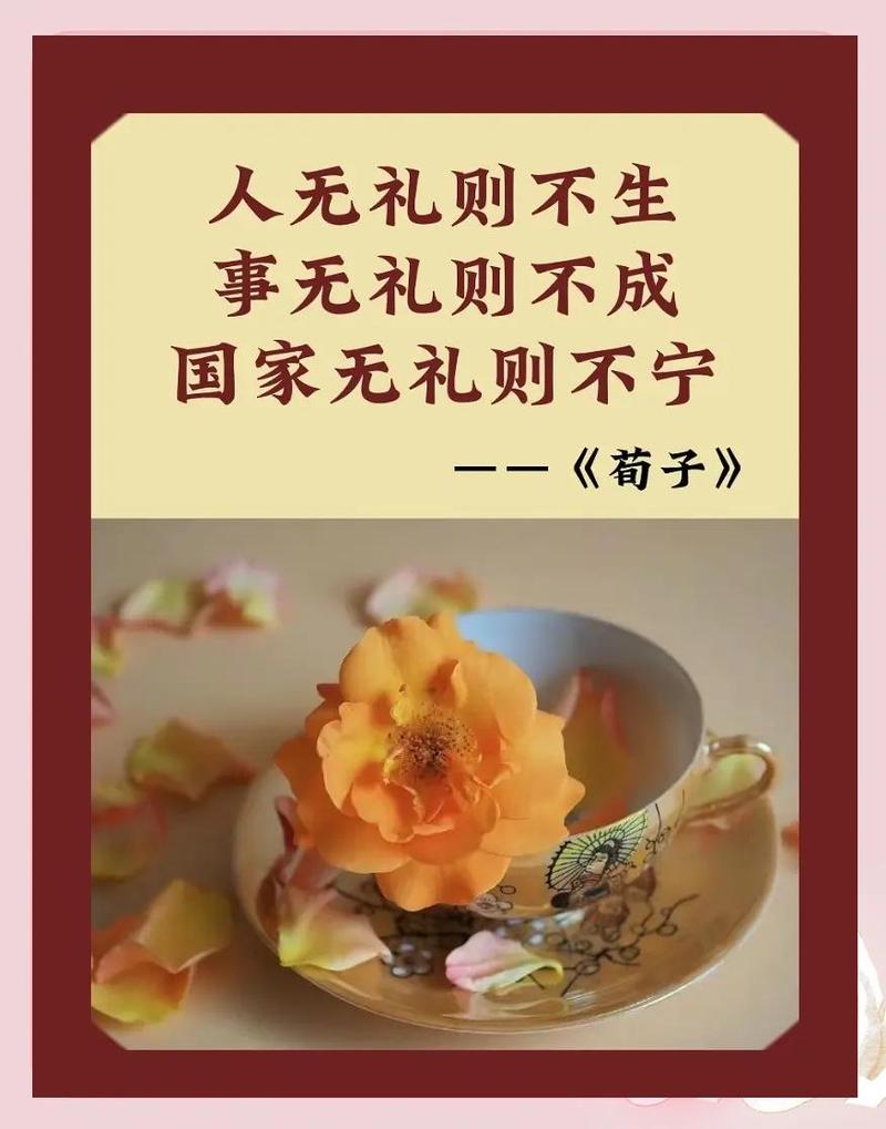 礼仪的本质从来不是框住人,是让所有人舒服