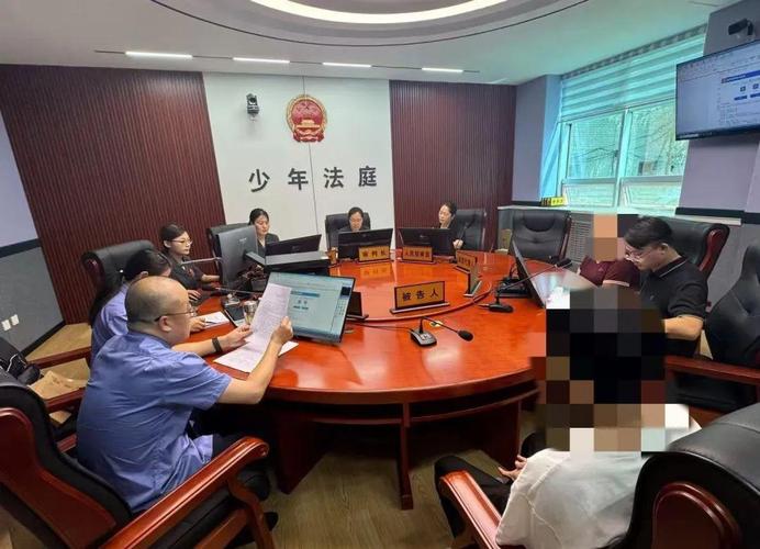 未成年人保护法法庭审判场景