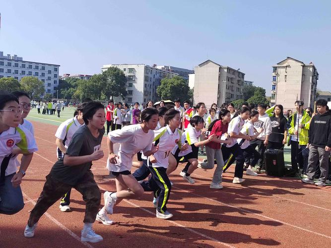 中学生综合素质评价活动照片