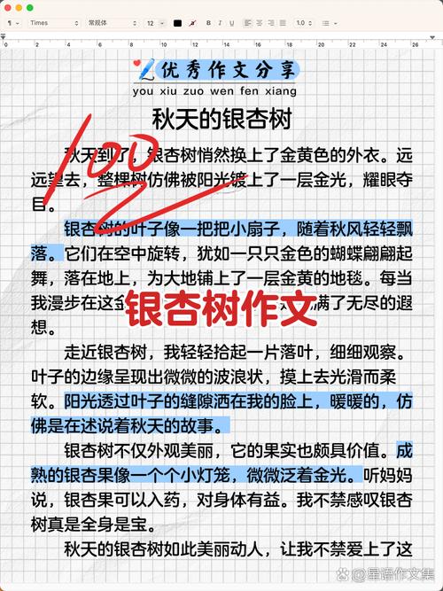 小学生放学的路上观察银杏树 写作素材收集