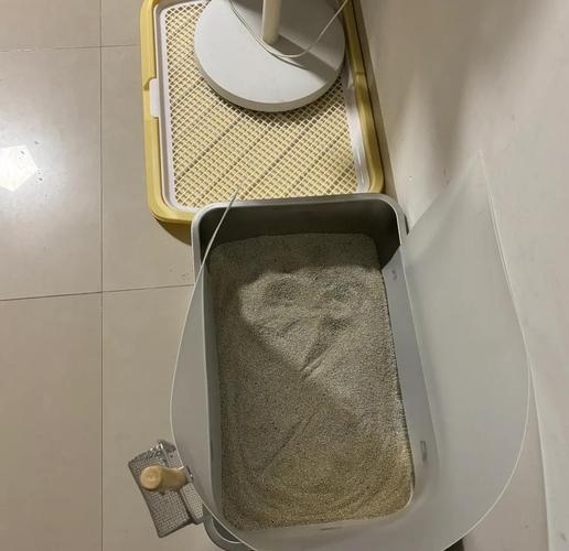 噪音源旁边，绝对不能放猫砂盆