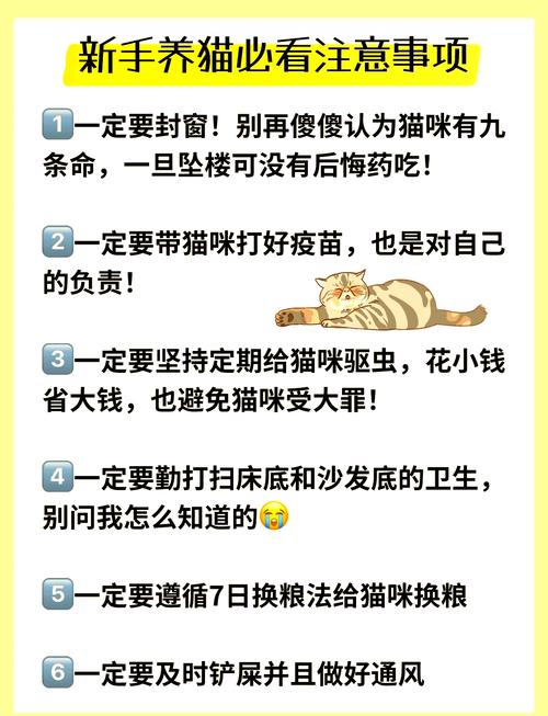 这些坑,我替你踩过了