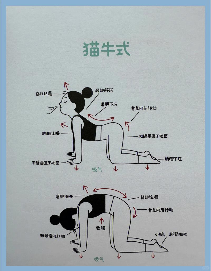 居家床上猫牛拉伸动作示范图