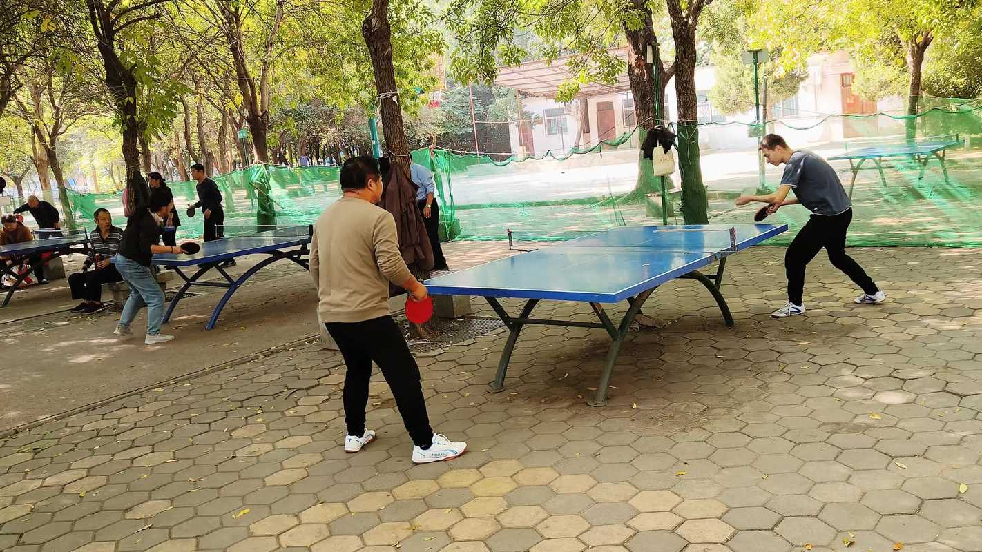 乒乓球休闲打法老年人公园打球场景