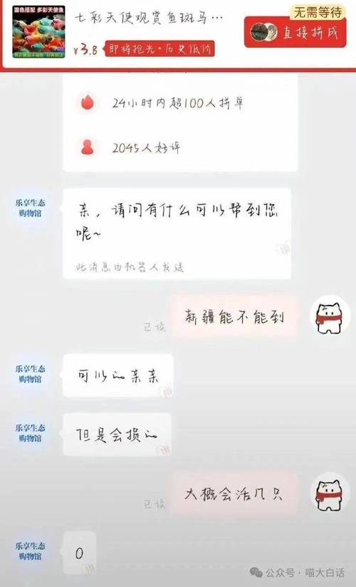 升学规划咨询师手机客户聊天记录