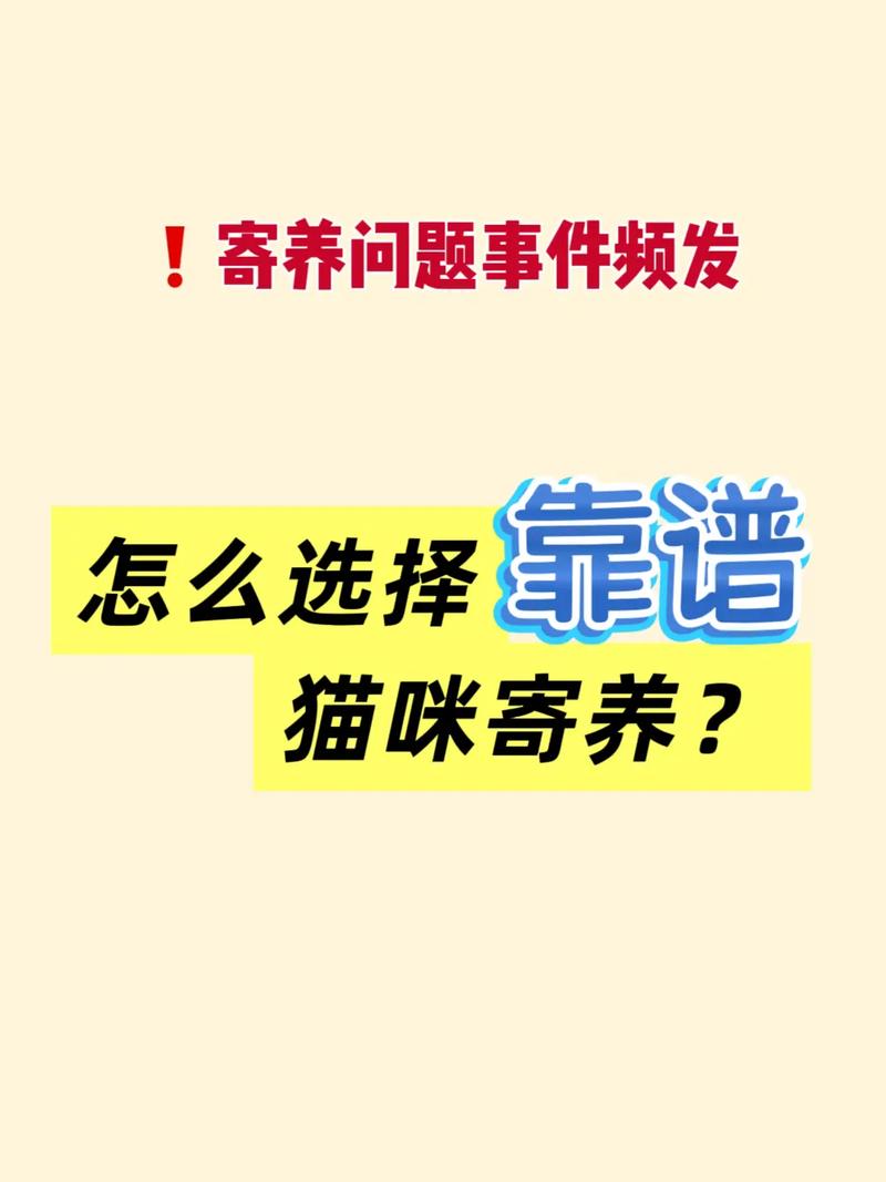 说点掏心窝的话