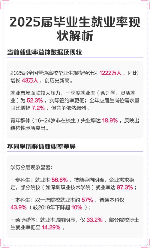 2025年高校毕业生就业率统计图表
