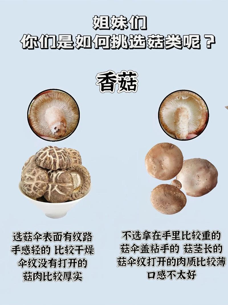 新鲜菌菇挑选要点对比示意图