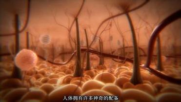 从吃灰的盒子到产线神经末梢